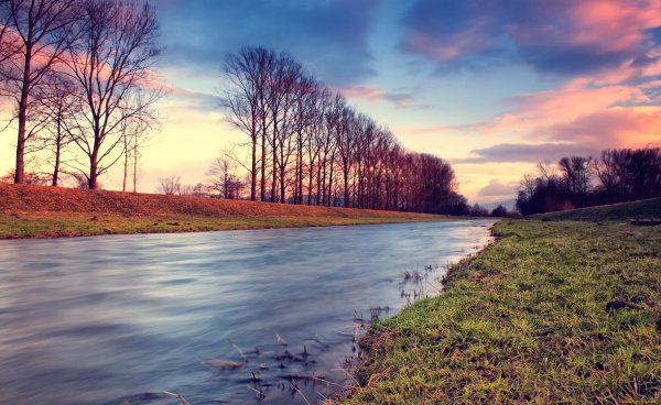 Картинки фон парк