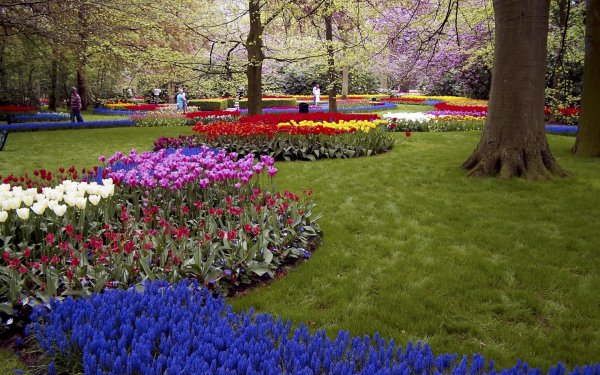 Парк Колпино цветочный