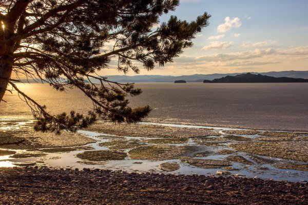 Онокочанская бухта Северный Байкал