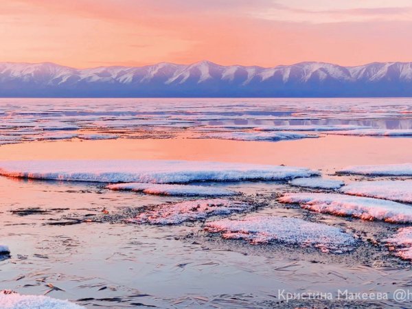 Телецкое озеро маральник
