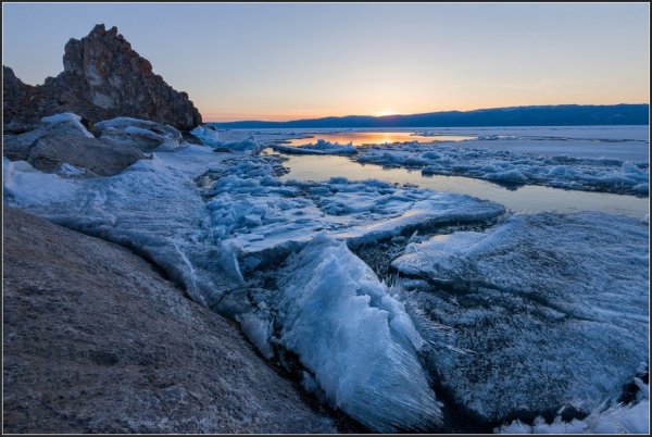 Багульник цветет на Ольхоне