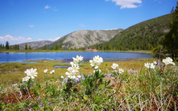 Озеро Байкал Бурятия летом