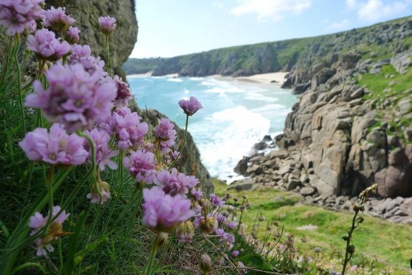 Байкальский биосферный заповедник Флора