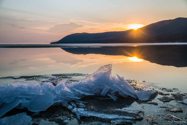 Флора озера Байкал