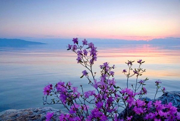 Весна на Байкале картинки