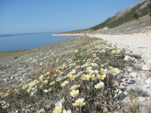 Пробуждение Байкала