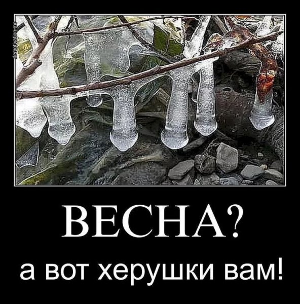 Весенние шутки