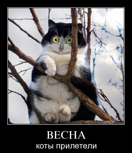 Приколы про зиму и весну