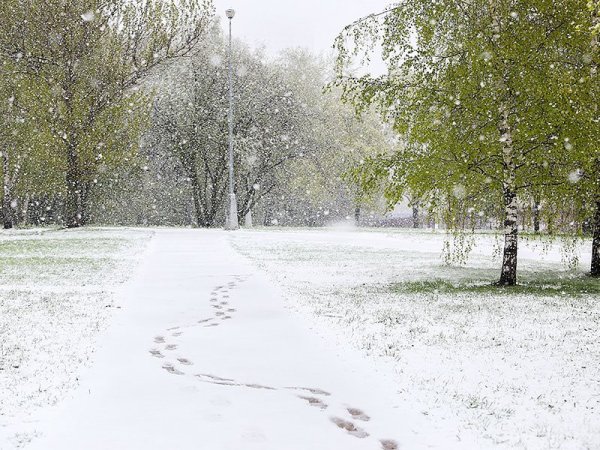 Весенний снегопад