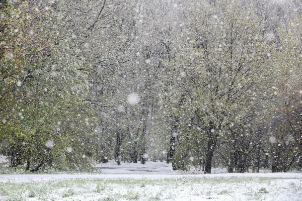 Весна снегопад