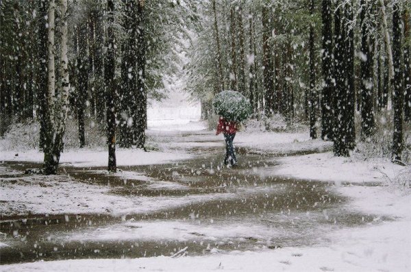 Весна снег с дождем