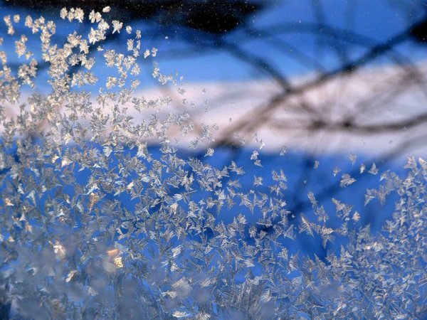 Снежок кружится