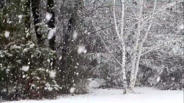 Снегопад анимация