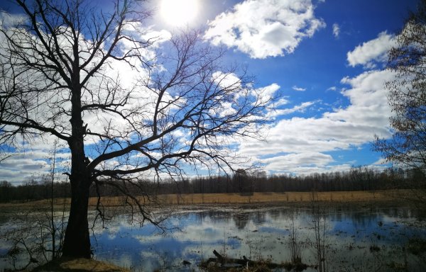 Баратынский Весна Весна