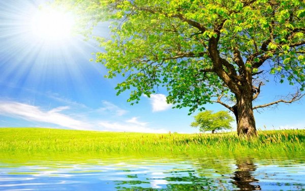 Весна Весна Евгений Абрамович 4 класс