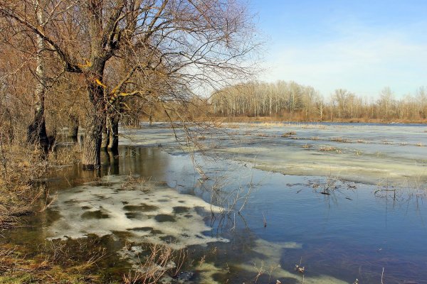 Иллюстрация к стиху Евгений Абрамович Баратынский Весна Весна