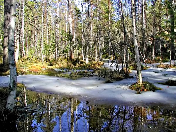 Баратынский Весна Весна