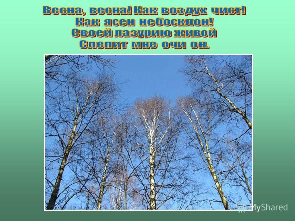 Евгений Абрамович Весна