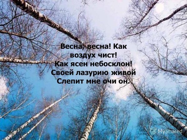 Стихотворение Баратынского