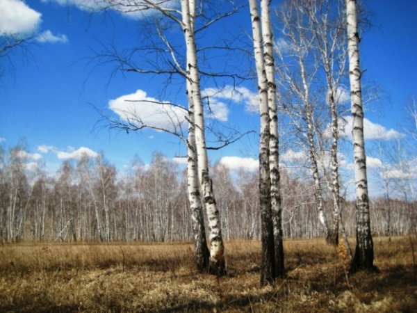 Стихи Евгений Абрамович Баратынский стихи