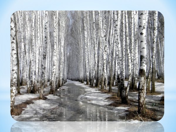 Стихи о весне русских поэтов