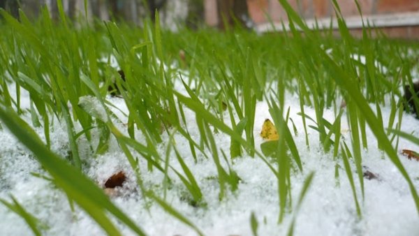 Весна тает снег