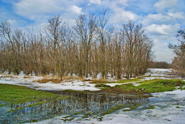 Весна последний снег первая трава