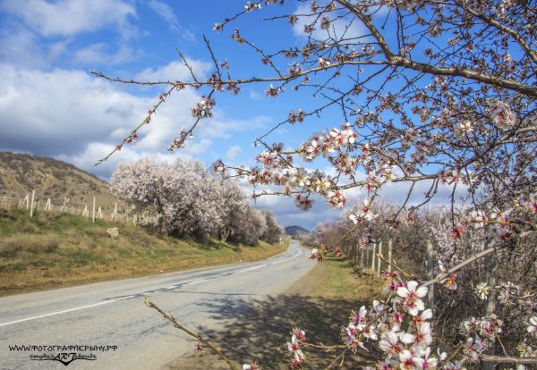 Ранняя Весна в Крыму
