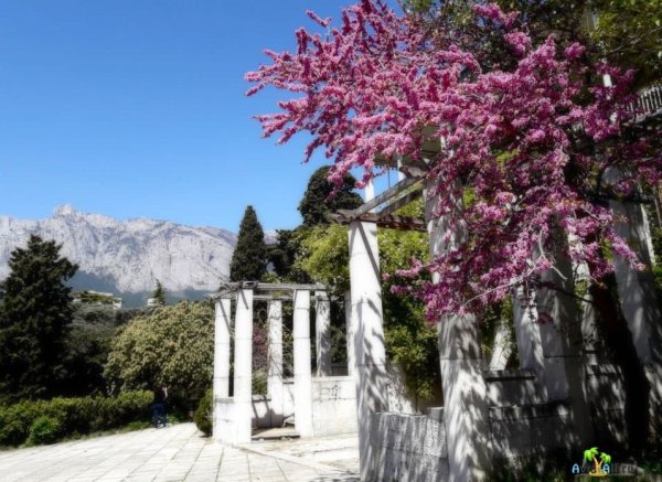 Ранняя Весна в Крыму