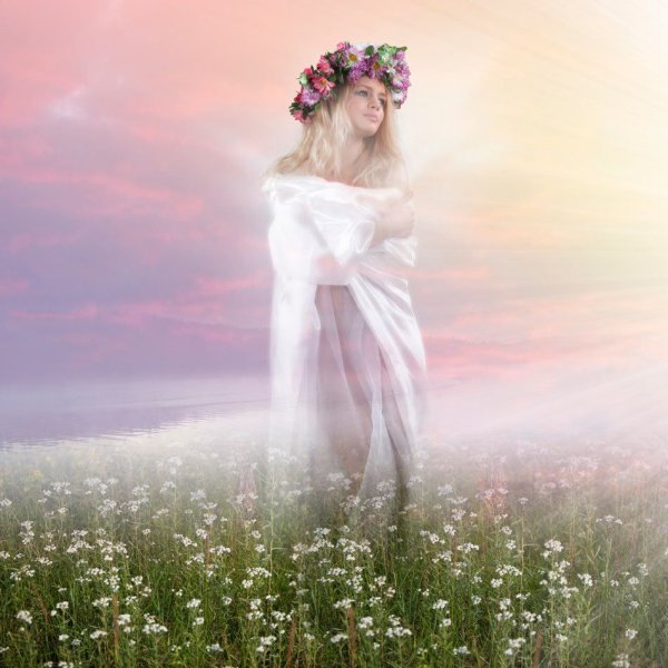 Сказочное поле