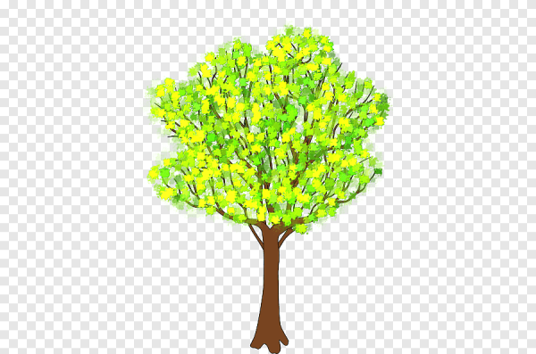 Весеннее дерево на прозрачном фоне