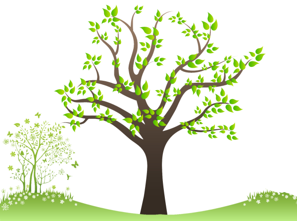 Ветка дерева