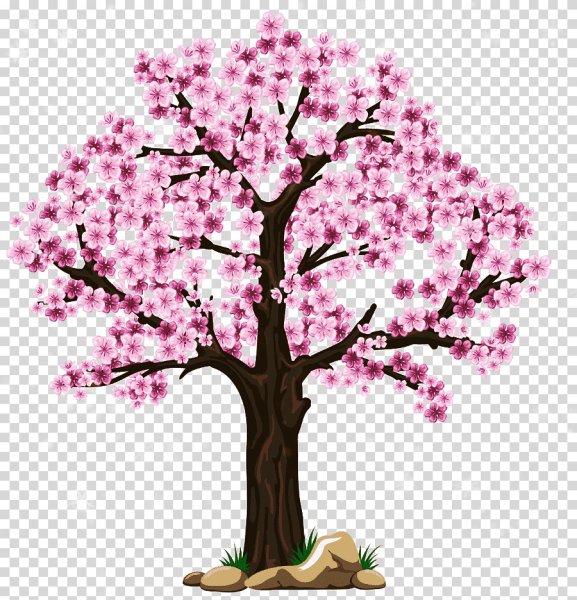 Сезонное дерево