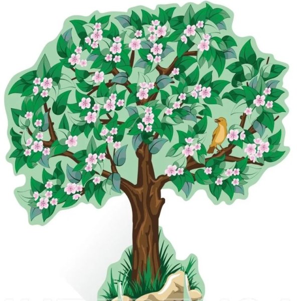 Береза рисунок