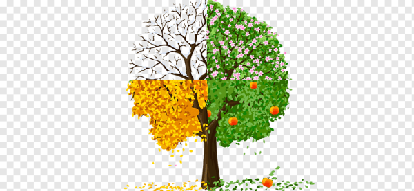 Цветное дерево