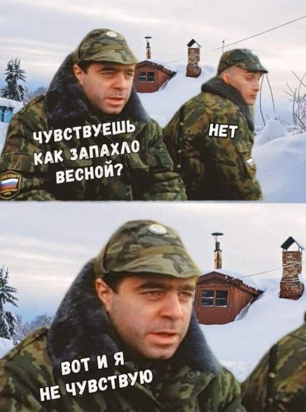 Смешные картинки с надписями