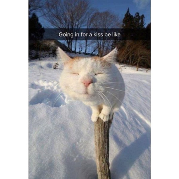 Пахнет весной