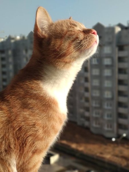 Весна пришла приколы