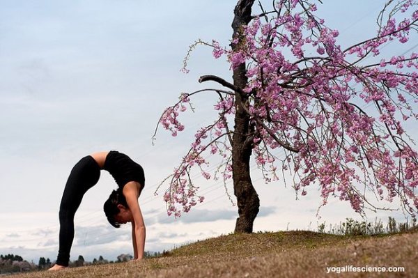 Весенняя йога картинки