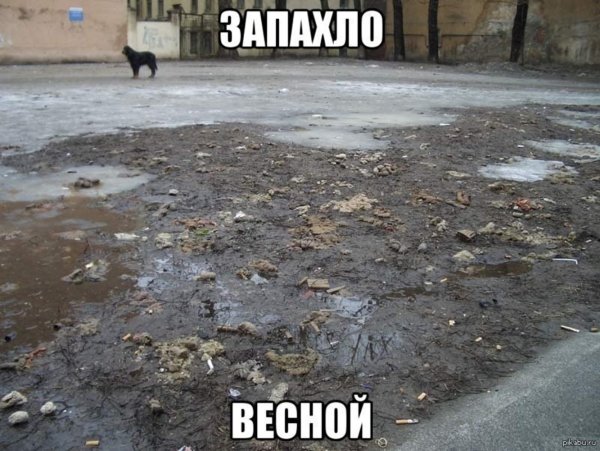 Чую весну юмор