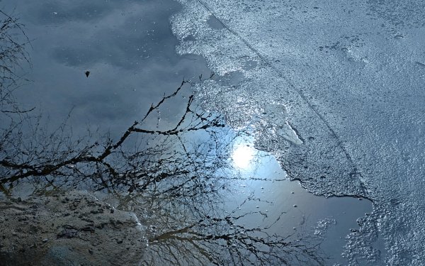 Отражение в луже