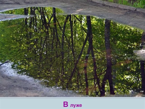 В резиновых сапогах по лужам