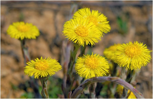 Мать и мачеха на берегу реки