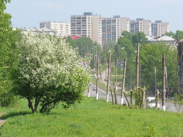 Березники Пермский край природа