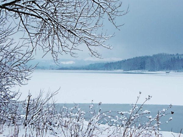 Березники зима