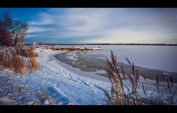 Берёзовая роща Орехово-Зуево