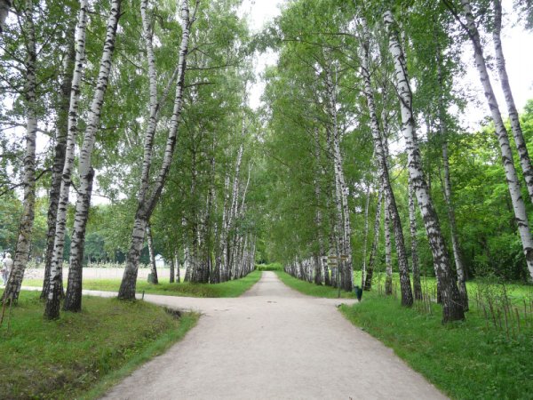 Парк культуры и отдыха Березники
