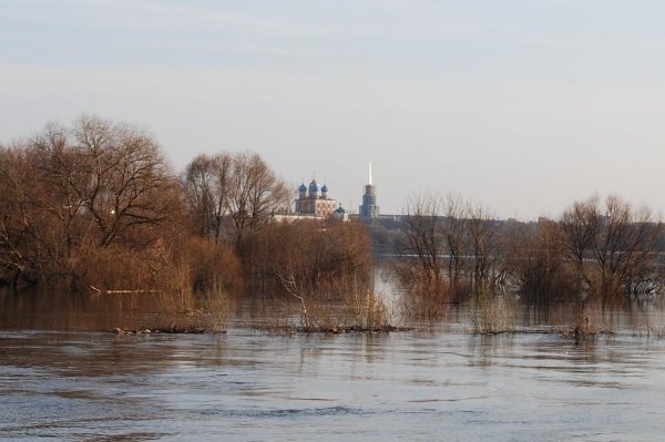Река Рязань весной