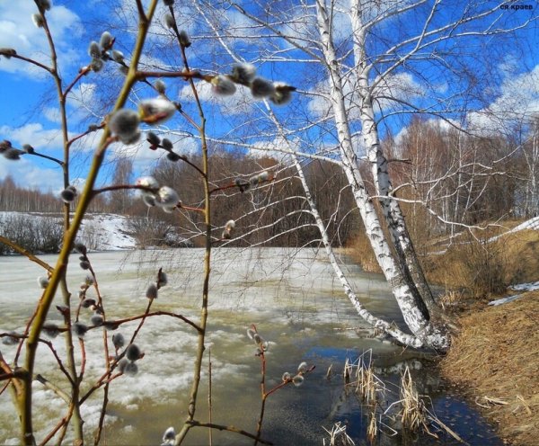 Весна ранняя в Рязани