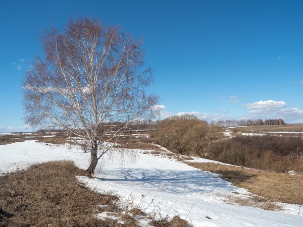 Природа города Рязани